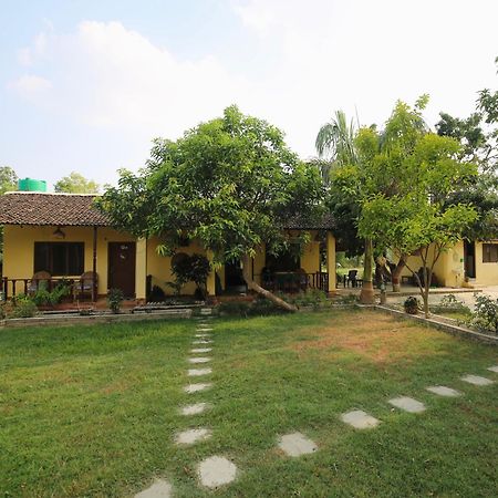 Bardia Eco Friendly Homestay Bardiya ภายนอก รูปภาพ