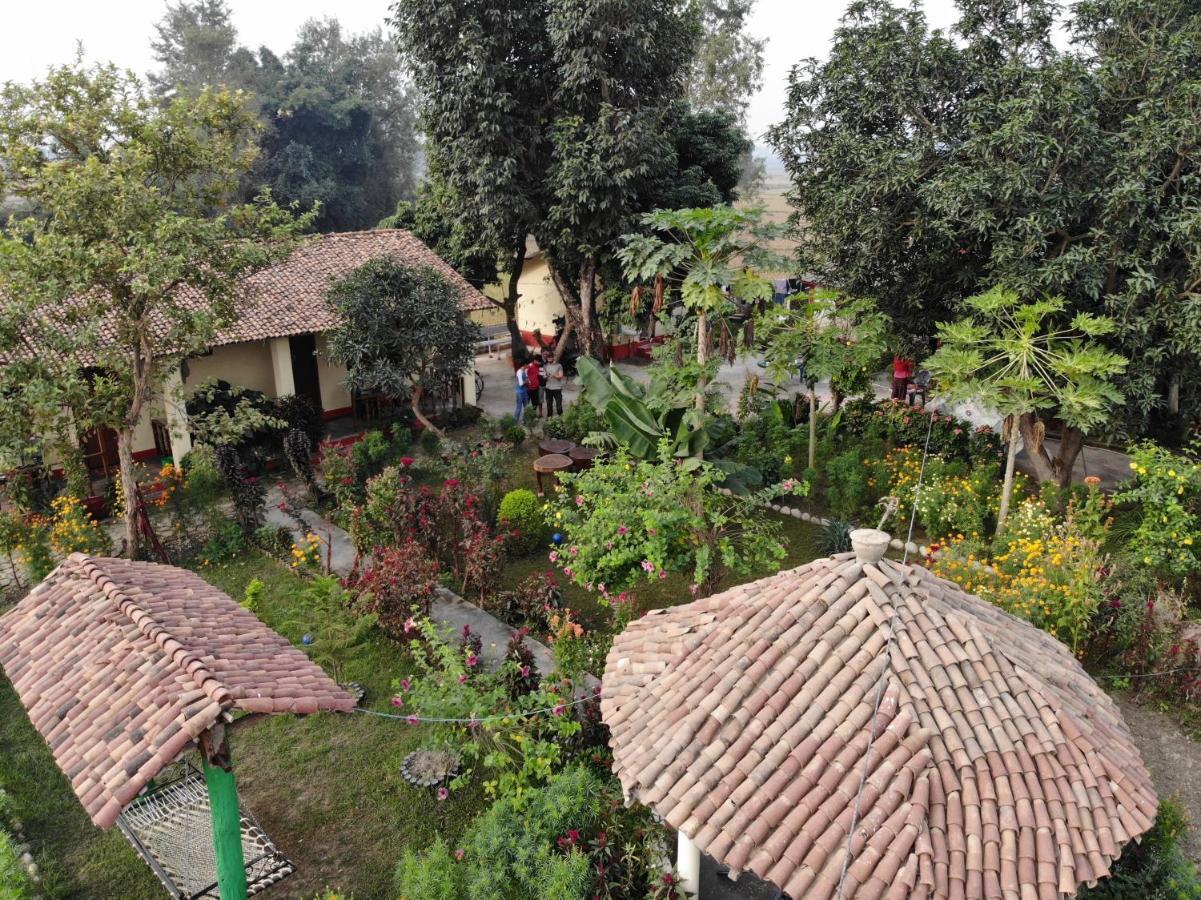 Bardia Eco Friendly Homestay Bardiya ภายนอก รูปภาพ